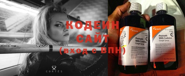 дмт Гусь-Хрустальный