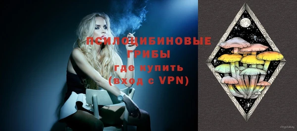 соль ск Гусев