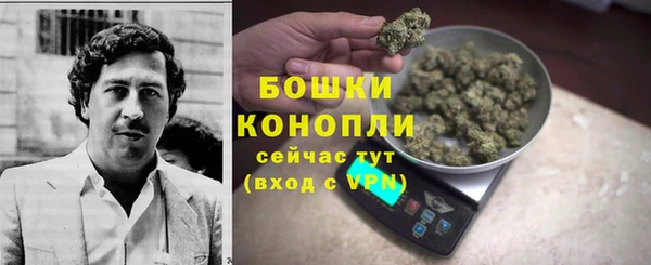 дмт Гусь-Хрустальный
