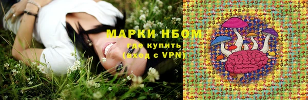соль ск Гусиноозёрск