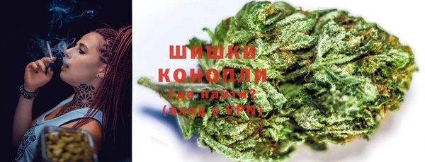 соль ск Гусев