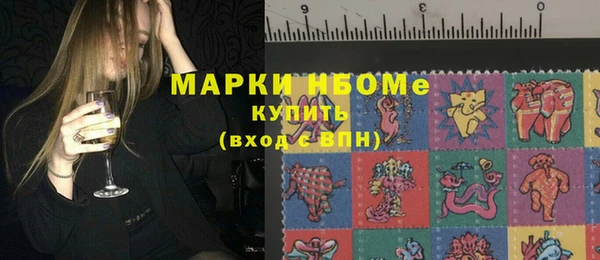 соль ск Гусев