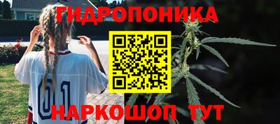 дживик Дубна