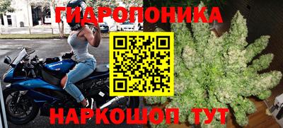 jwh Донецк