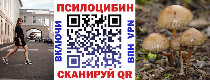 Псилоцибиновые грибы ЛСД  цены наркотик  Ипатово 