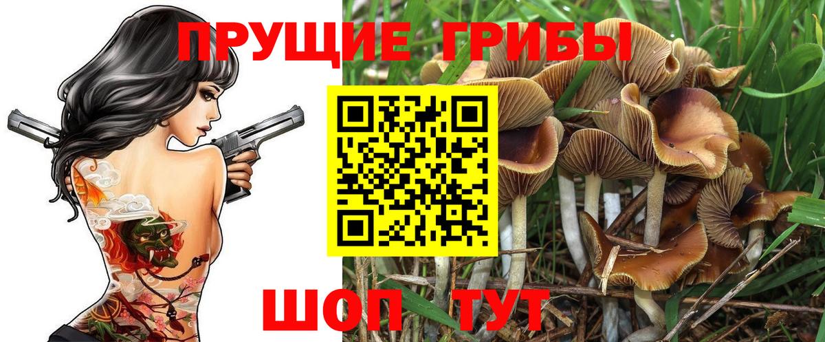 Псилоцибиновые грибы ЛСД Ипатово