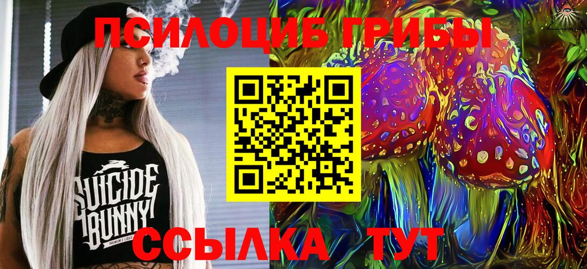 Галлюциногенные грибы прущие грибы Ипатово